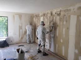 Best Attic Mold Removal  in Chandler, AZ